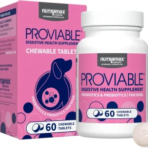 nutramax laboratories proviable digestive health supplement multi strain probiotics and prebiotics for dogs, with 7 strains of bacteria, 60 chewable tablets